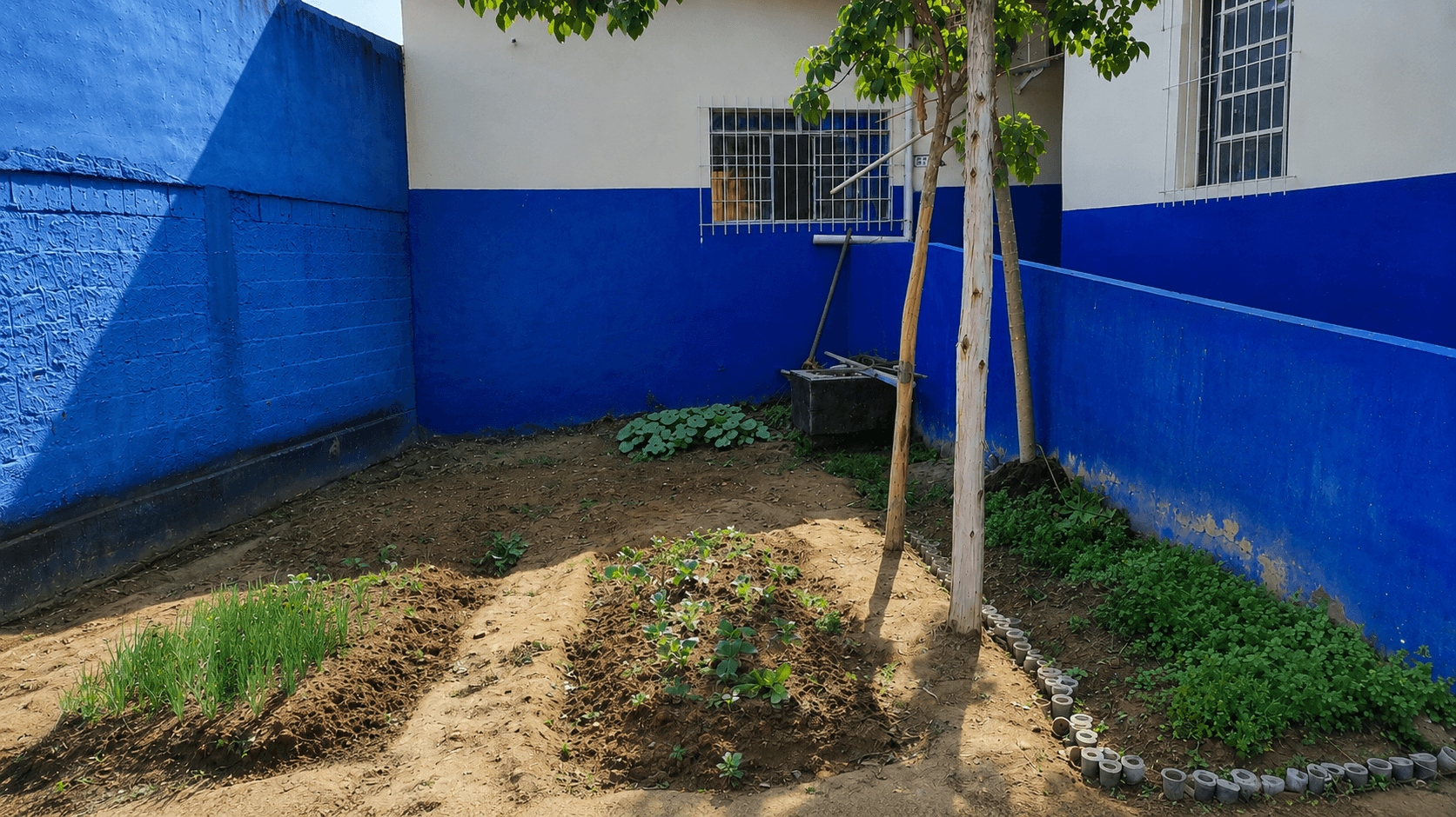 Da Sala de Aula para a Terra: Alunos do 3º Ano Criam Horta Escolar